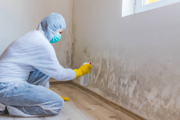 Mold Remediation specialist working in Bellefonte