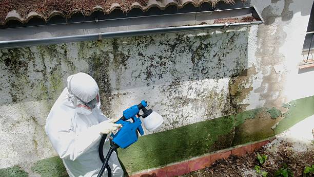 Mold Removal service in Bellefonte